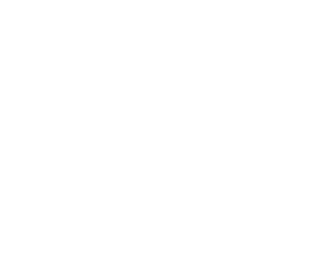 7vLog Transportes