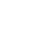 Tecnopig